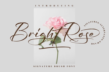Bright Rose Signature Brush Font