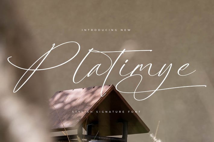 Platimye Stylish Signature Font