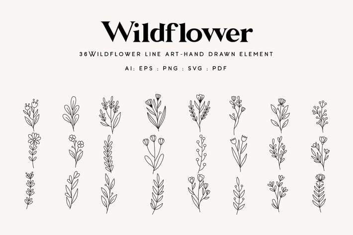 36 Wildflower line art - handdrawn element