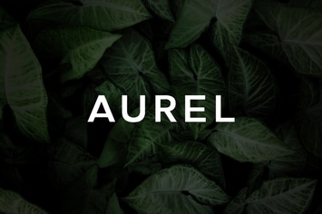 Aurel - An Open Sans Serif Typeface