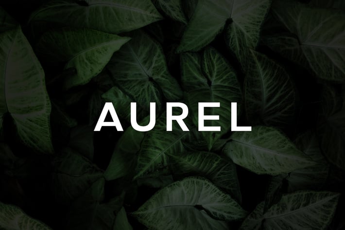 Aurel - An Open Sans Serif Typeface