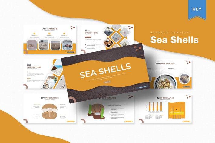 Sea Shells | Keynote Template