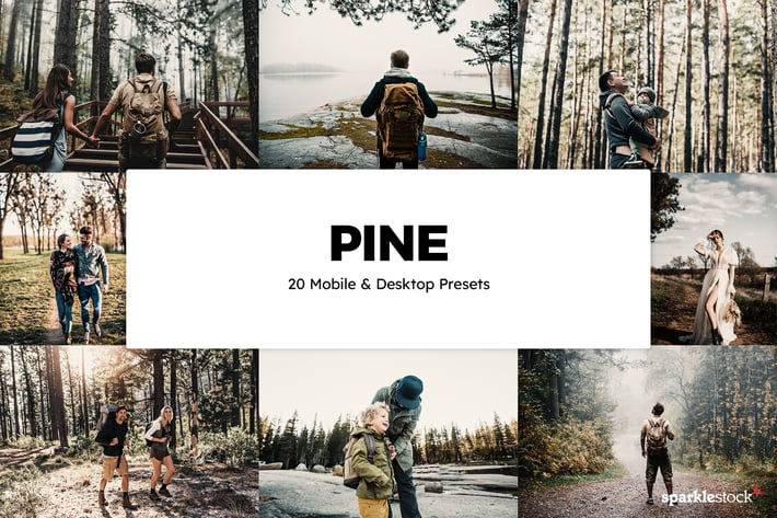 20 Pine Lightroom Presets & LUTs