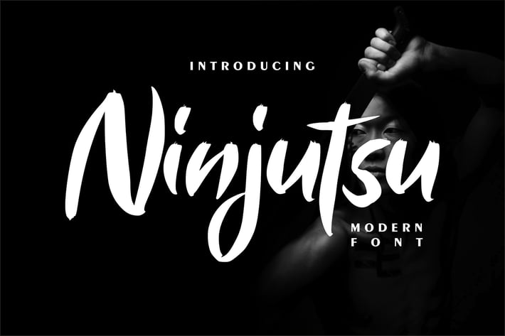 Ninjutsu | Modern Font