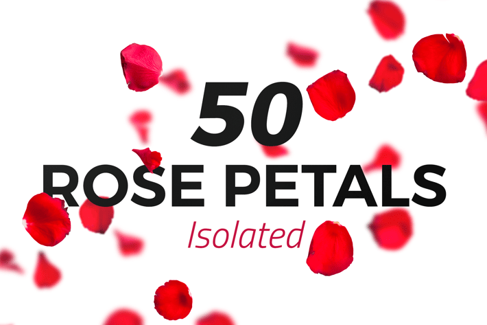 50 Isolated Red Rose Petals