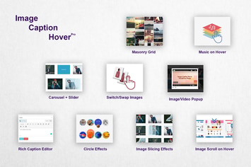 Image Caption Hover Pro