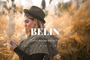 Belin Lightroom Presets Dekstop and Mobile