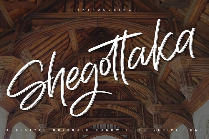 Shegottaka | Drybrush Handwriting Script Font