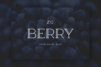 Berry Slab Serif Font