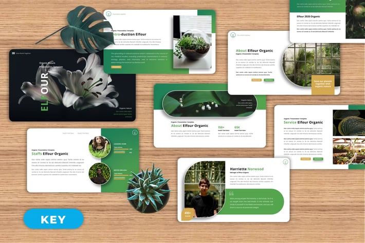 Elfour - Organic Keynote Templates