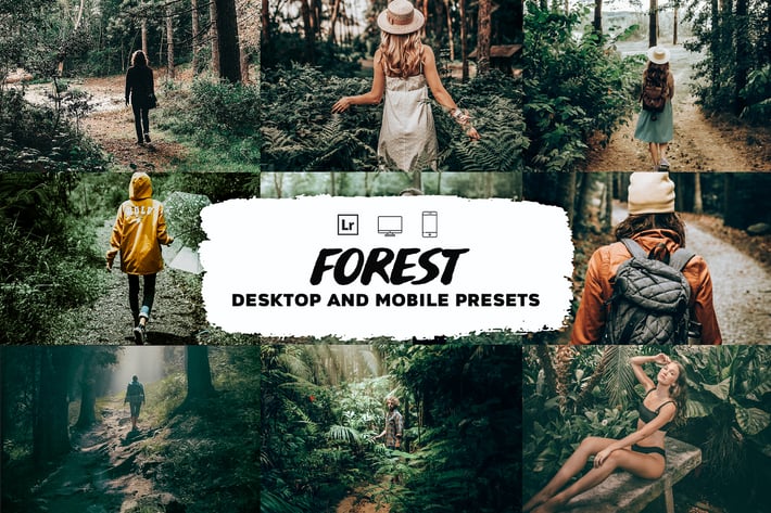 Forest Lightroom Presets 