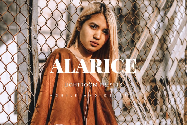 Alarice Lightroom Presets Dekstop and Mobile