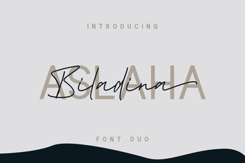 Aslaha Biladina