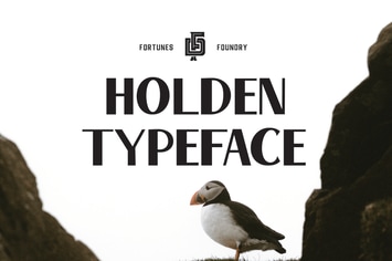 Holden VIntage Type