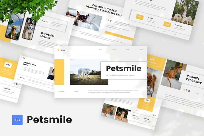 Pet Care & Vetenary Keynote Template