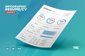 Infographic Resume/Cv Volume 3