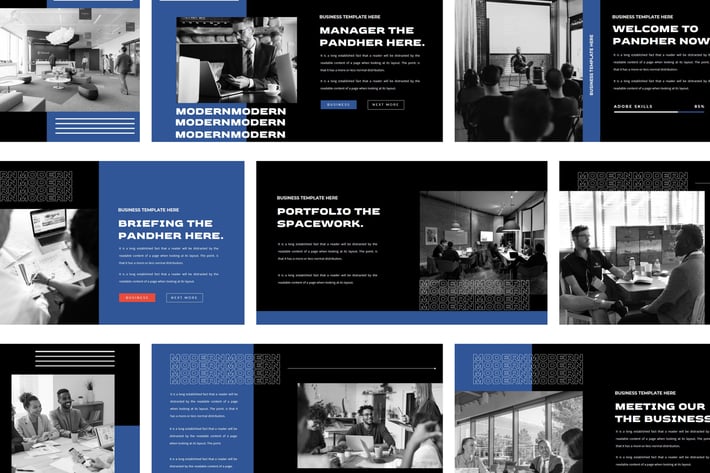 PANDHER Presentation template