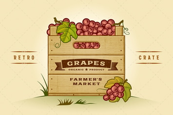 Retro Crate Of Grapes