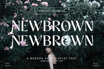 Modern Sans Display Font - Newbrown