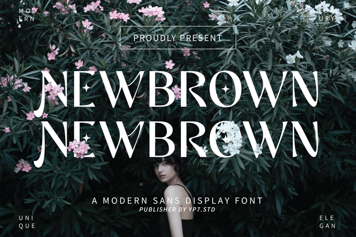Modern Sans Display Font - Newbrown