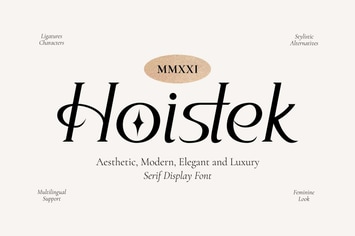 Hoistek - Aesthetic font