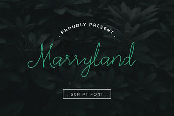 Marryland Handwritten Script Monoline