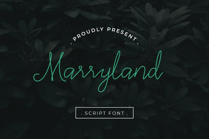 Marryland Handwritten Script Monoline