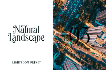 Lightroom Preset - Natural Landscape No.05