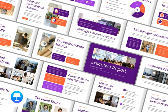 Executive Report