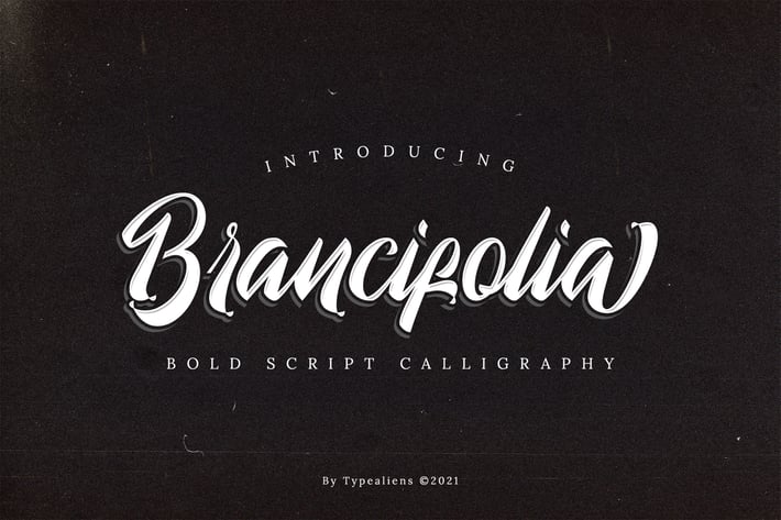 Brancifolia