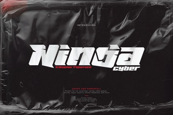 Ninja Cyber
