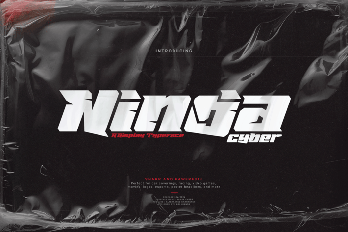 Ninja Cyber