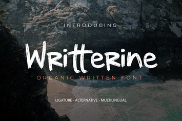 Writterine - Brush Handwritten                  