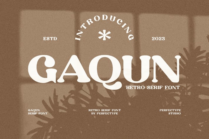 Gaqun Elegant Serif Font Typeface