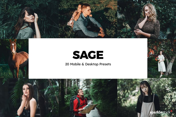 20 Sage Lightroom Presets & LUTs