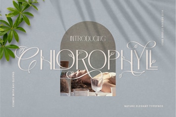 Chlorophyll Typeface