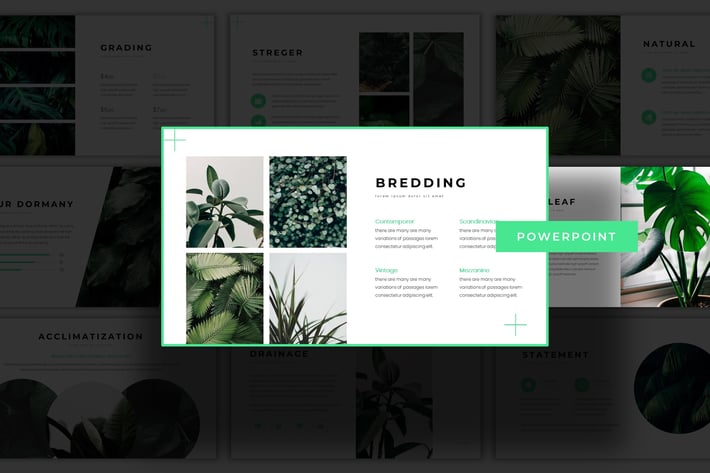 Greenbean - Powerpoint Template