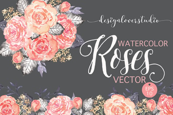 Vector watercolor coral red roses