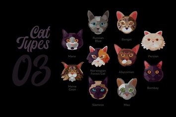 Cat Types - Illustration Sets