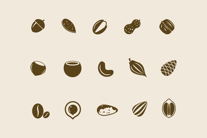 15 Nut and Seed Icons