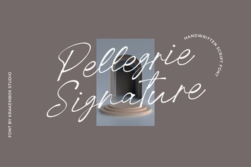 Pellegrie Signature - Script