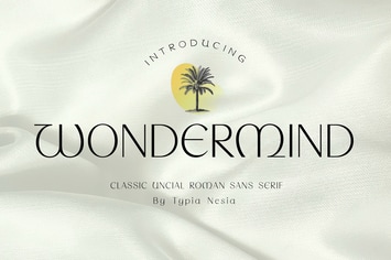 Wondermind - Classic Aesthetic Beauty Sans Serif