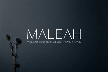 Maleah Sans Serif Font Family Pack