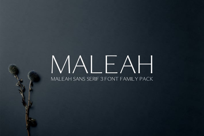 Maleah Sans Serif Font Family Pack