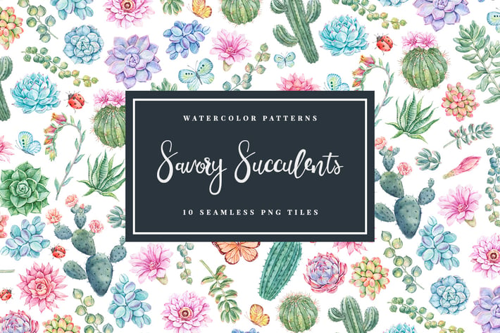Savory Succulents - Seamless Patterns