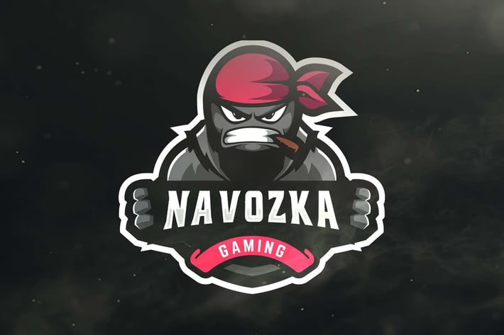 Turtle Sport and Esports Logos