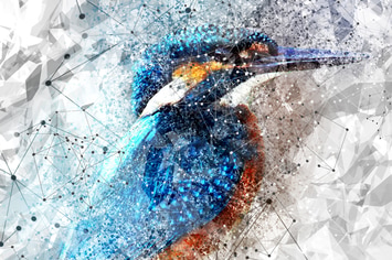 Geometric Art Photoshop Action