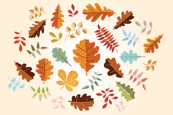 Leaf Elements