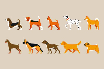Dog Illustration Set 