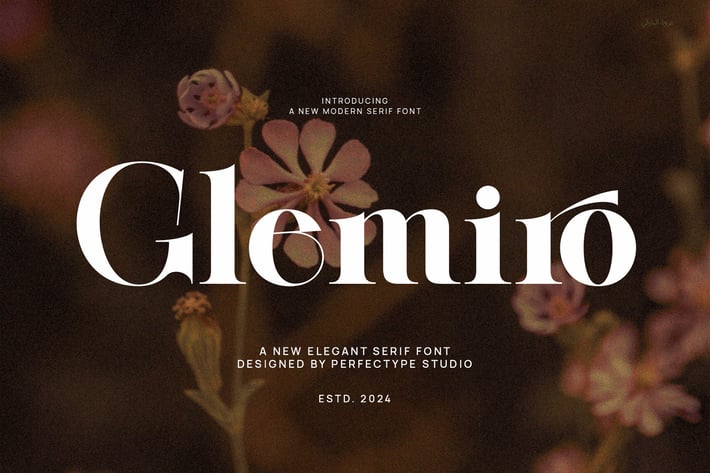 Glemiro Modern Elegant Serif Font Typeface